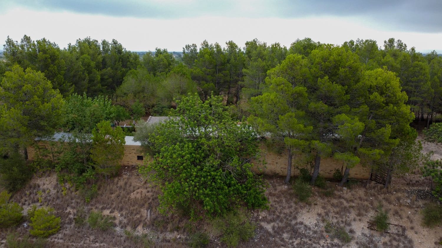 Finca/Country House for sale in Roquetes - € 160,000 (Ref: 7742698)