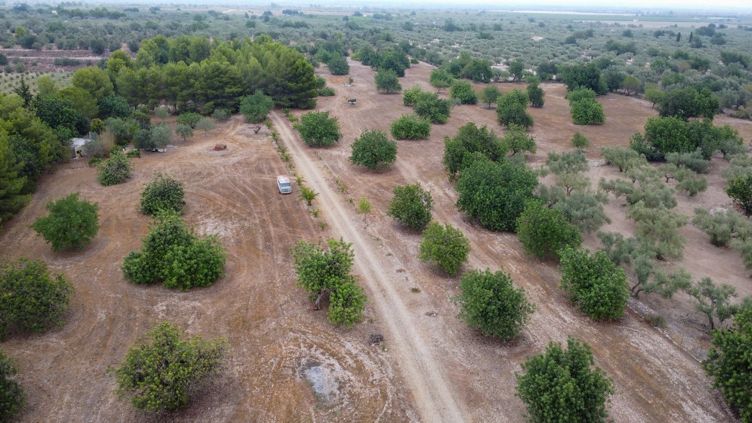 Finca/Country House for sale in Roquetes - € 160,000 (Ref: 7742698)