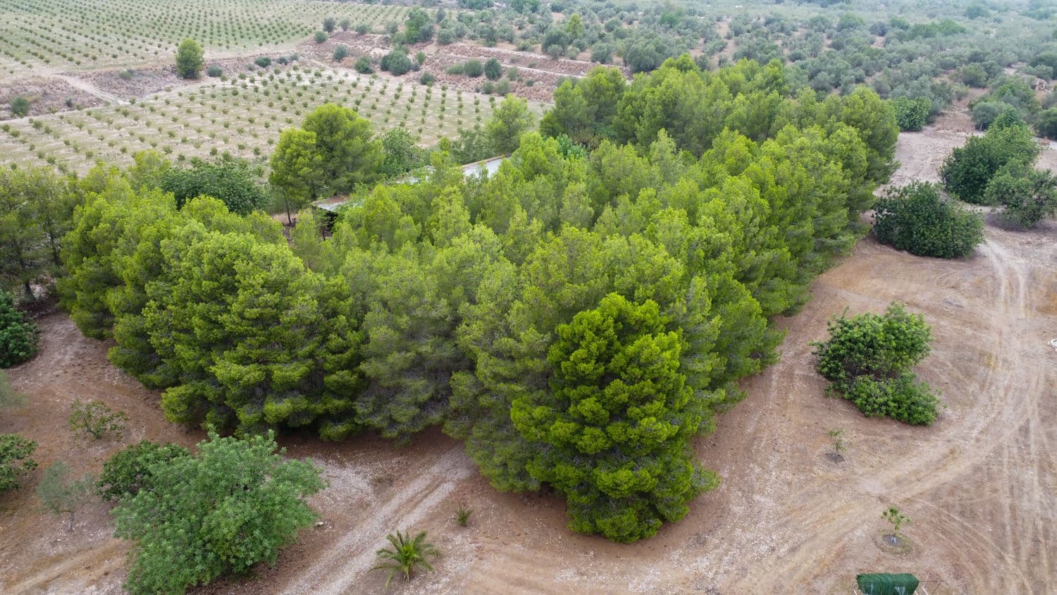 Finca/Country House for sale in Roquetes - € 160,000 (Ref: 7742698)