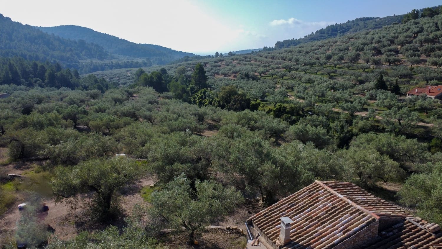 Finka/Dom wiejski na sprzedaż w Tortosa - 43 000 € (Ref: 7833253)