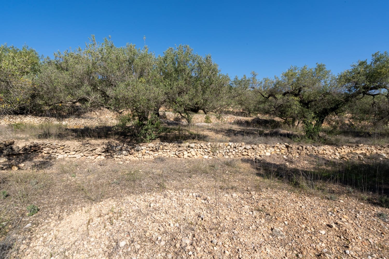 Finka/Dom wiejski na sprzedaż w Tortosa - 43 000 € (Ref: 7833253)