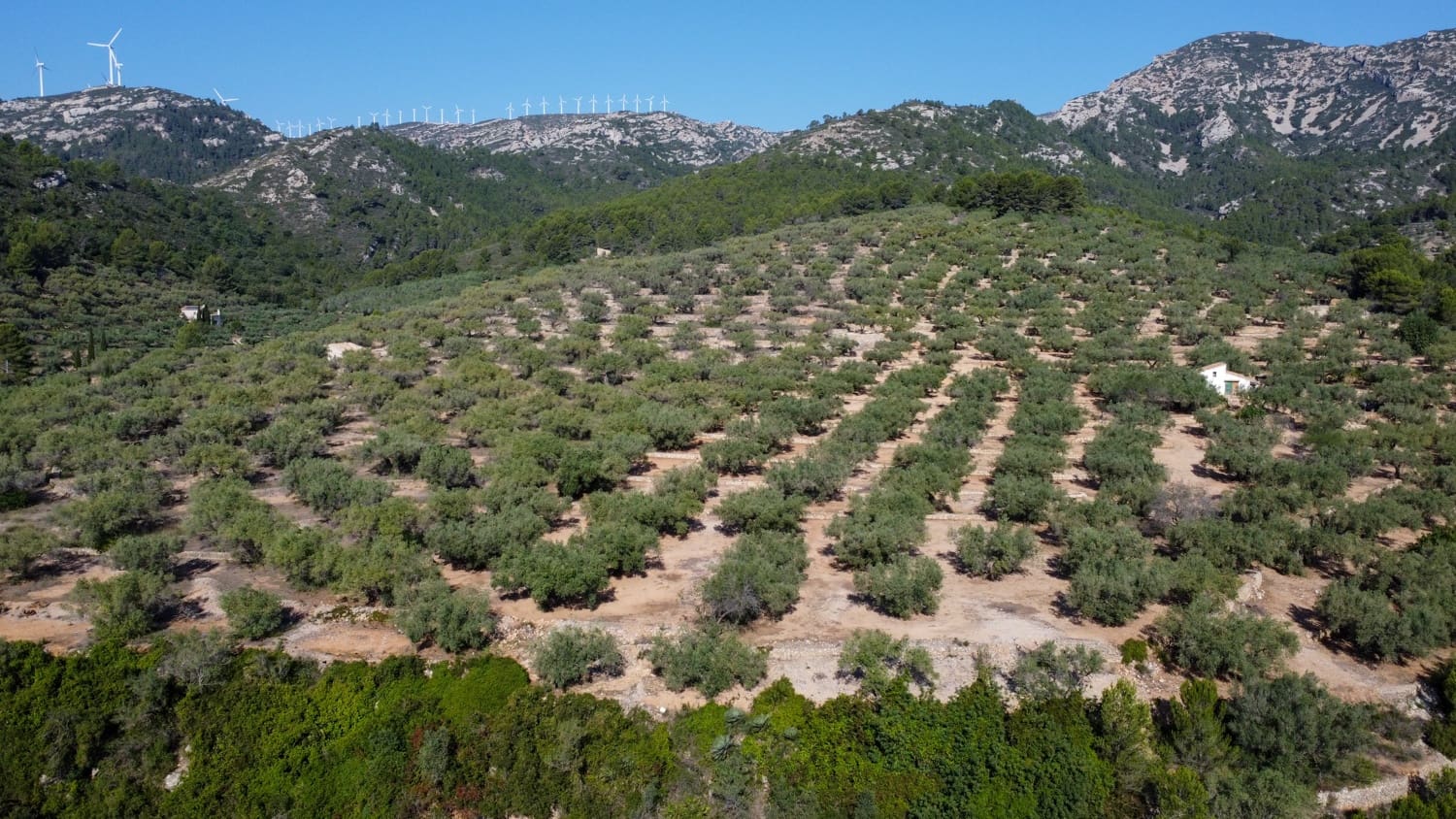 Finka/Dom wiejski na sprzedaż w Tortosa - 43 000 € (Ref: 7833253)