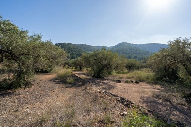 Finca/Casa Rural en Tortosa en venta - 43.000 € (Ref: 7833253)