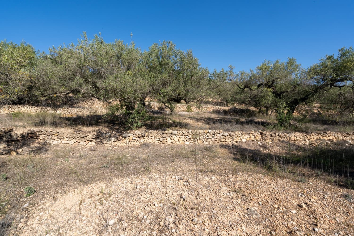 Finca/Country House for sale in Tortosa - € 43,000 (Ref: 7833253)