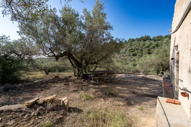 Finca/Casa Rural en Tortosa en venta - 43.000 € (Ref: 7833253)