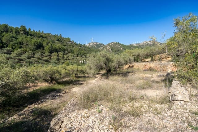 Finca/Casa Rural en Tortosa en venta - 43.000 € (Ref: 7833253)