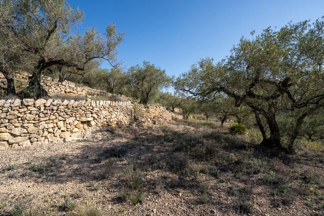 Finca/Casa Rural en Tortosa en venta - 43.000 € (Ref: 7833253)