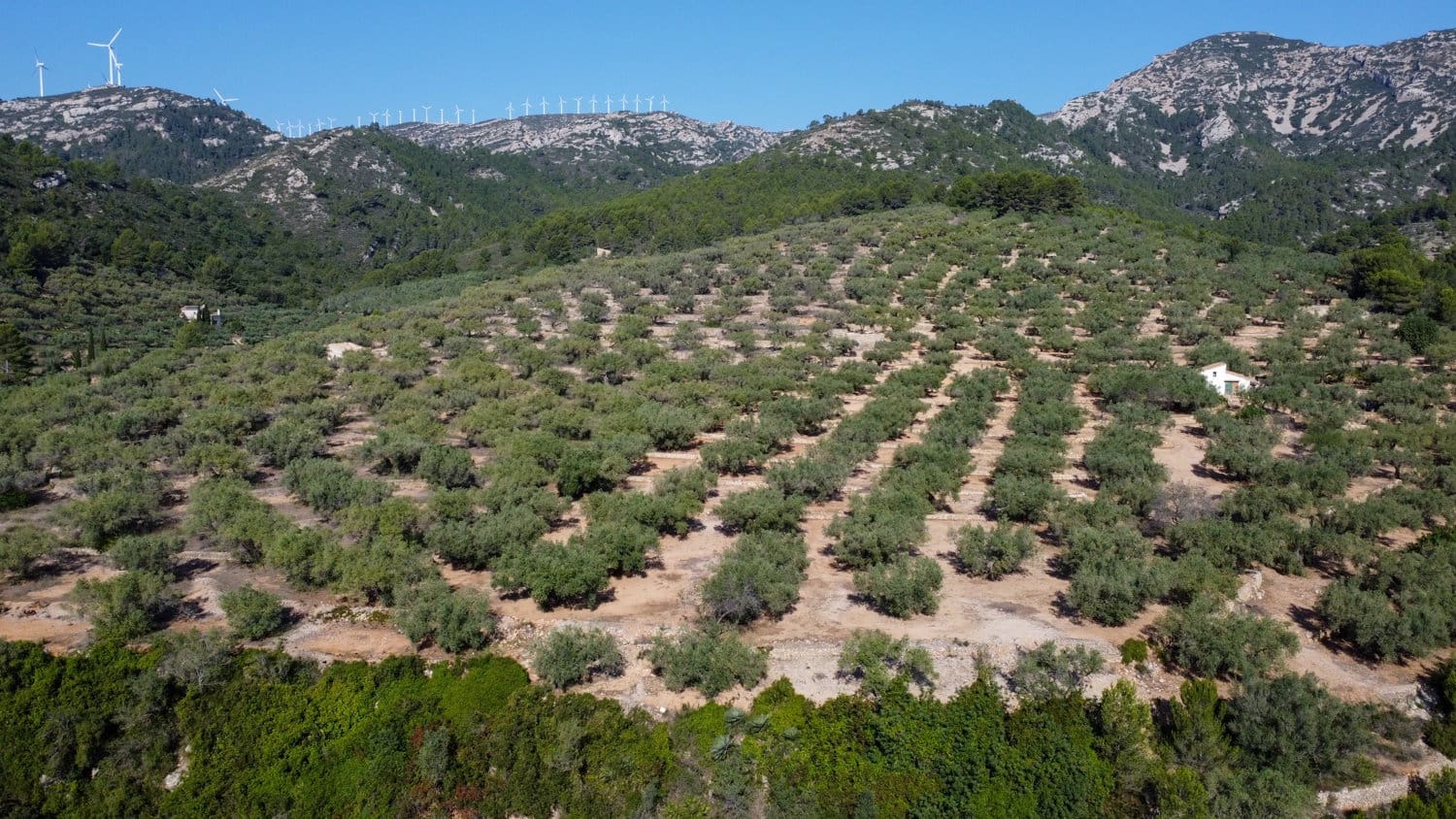 Finca/Country House for sale in Tortosa - € 43,000 (Ref: 7833253)
