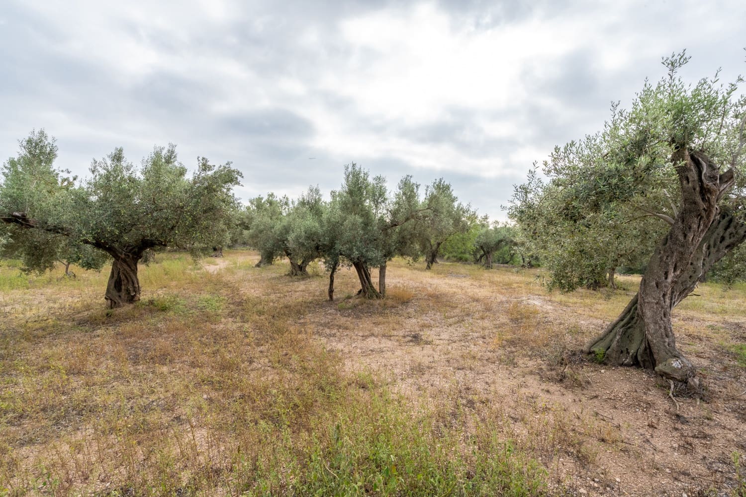 1 soveværelse Finca/Landehus til salg i Roquetes - € 81.000 (Ref: 7841792)