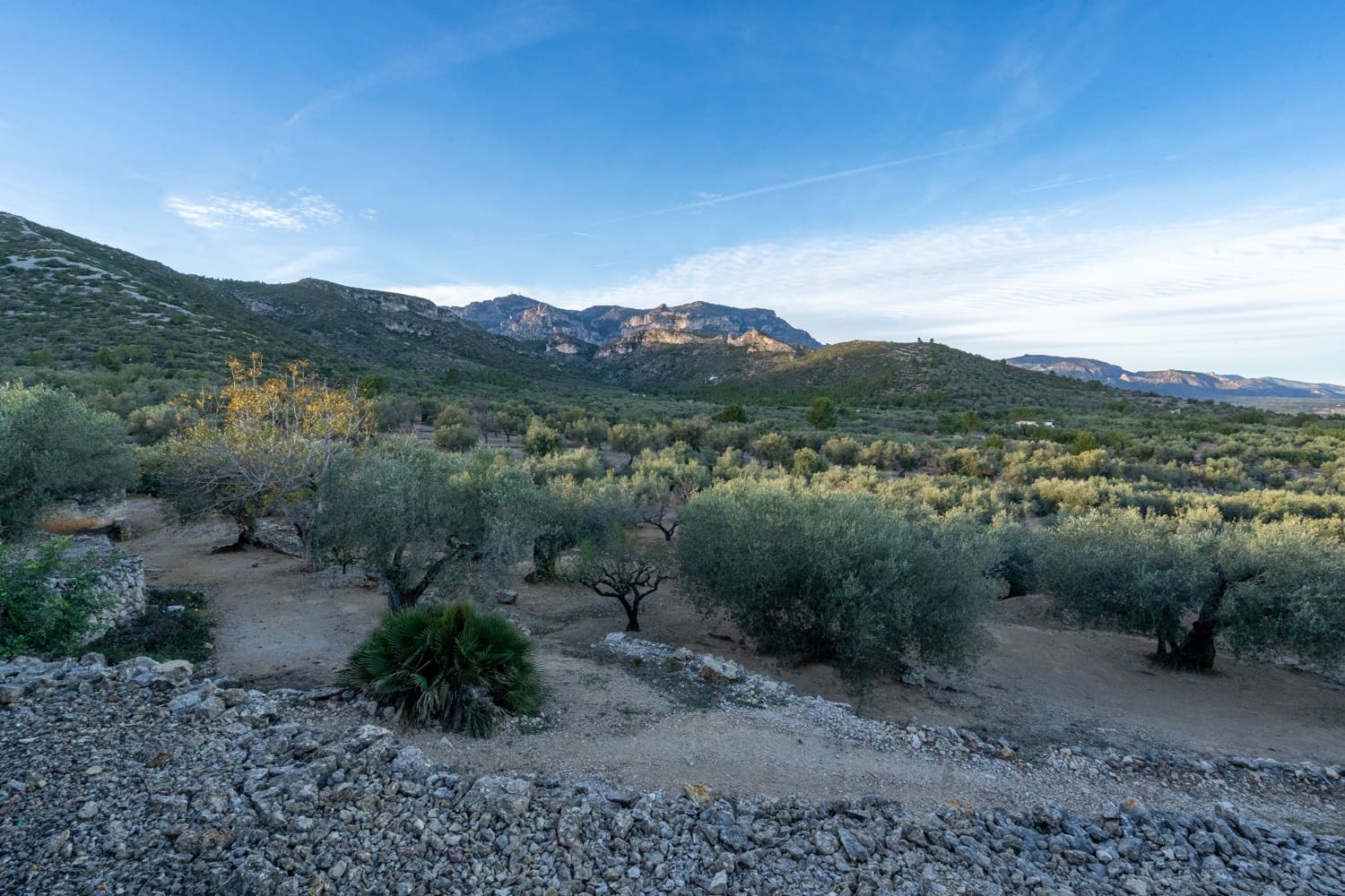 Finca/Landehus til salg i Roquetes - € 48.000 (Ref: 7967955)