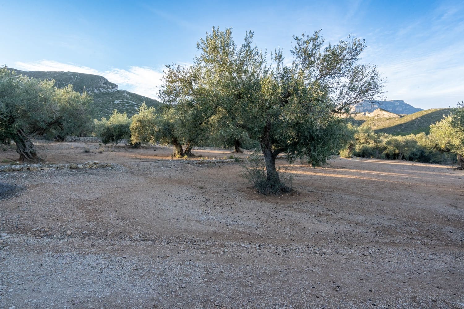 Finca/Landehus til salg i Roquetes - € 48.000 (Ref: 7967955)