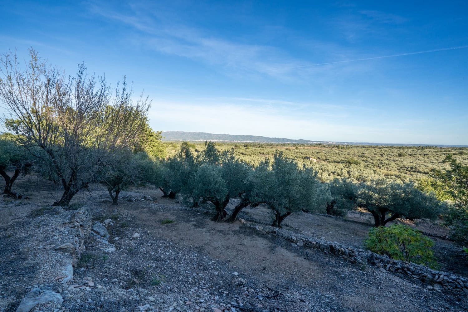 Finca/Country House for sale in Roquetes - € 48,000 (Ref: 7967955)