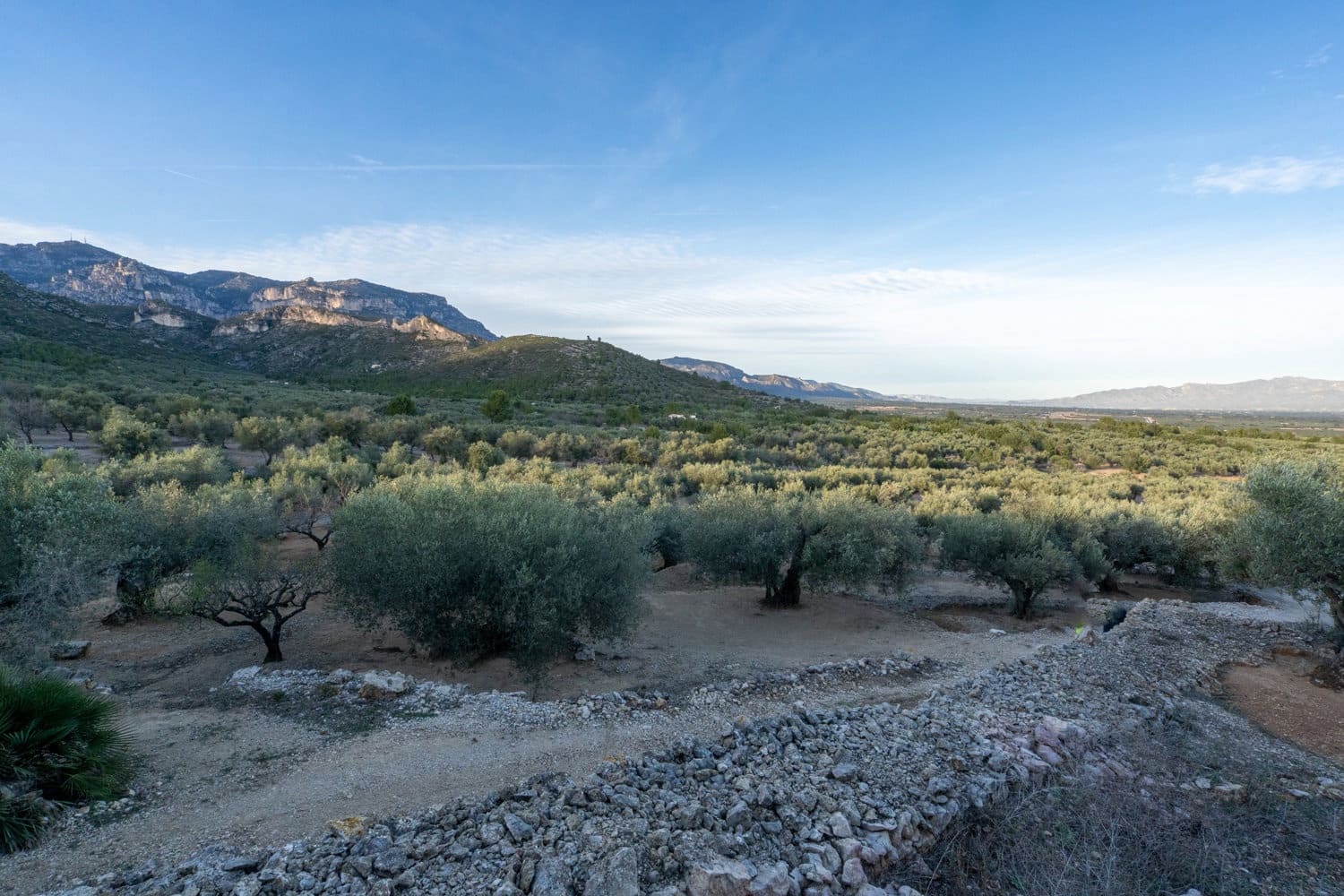 Finca/Country House for sale in Roquetes - € 48,000 (Ref: 7967955)