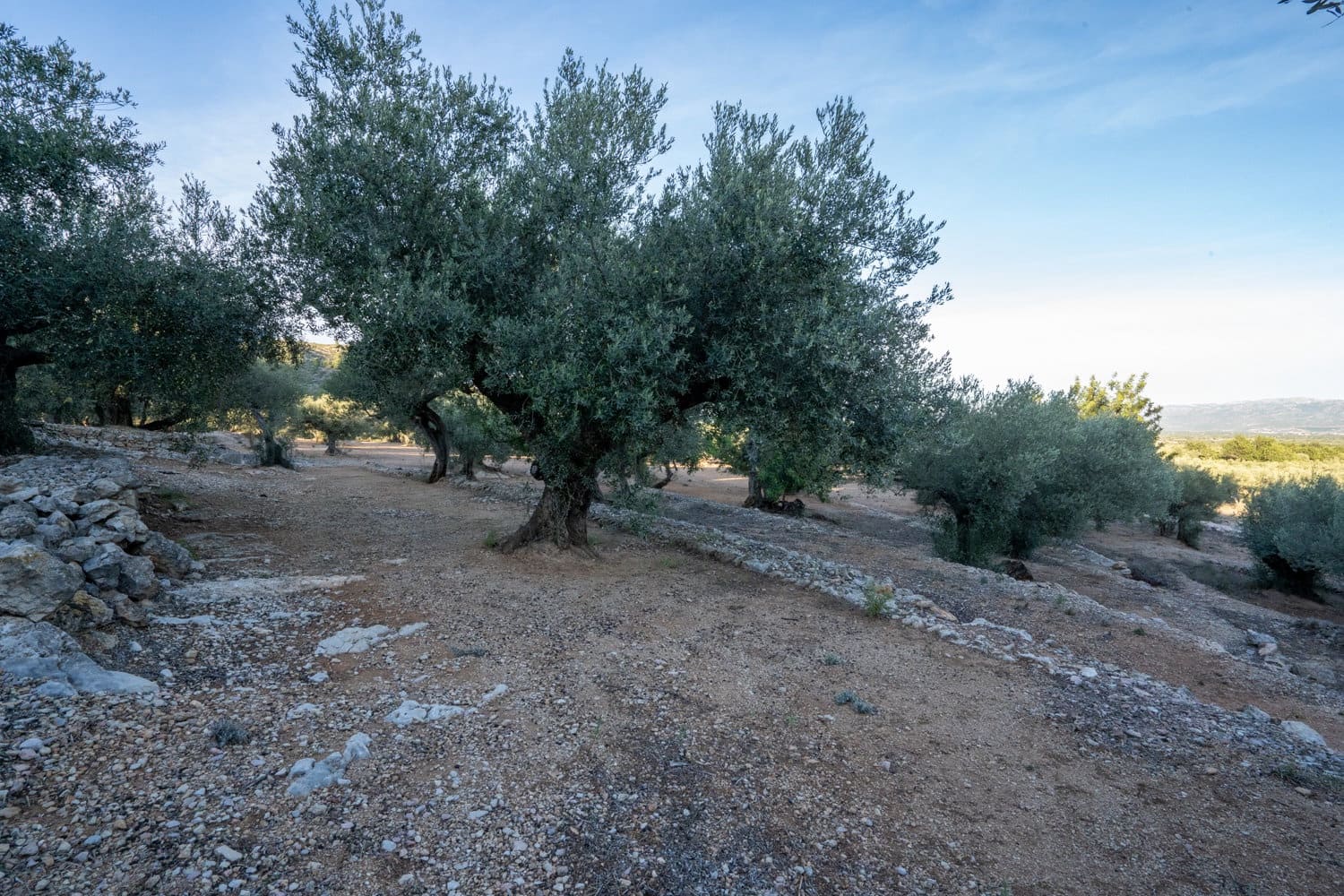 Finca/Country House for sale in Roquetes - € 48,000 (Ref: 7967955)