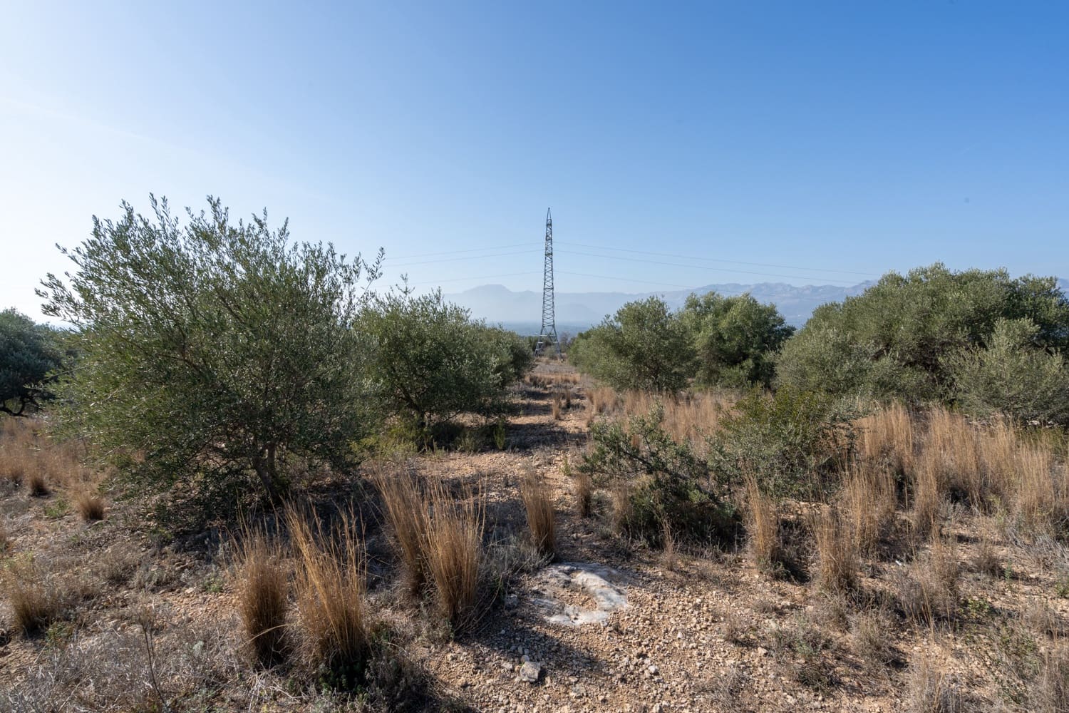 Finca/Landehus til salg i Bitem - € 43.000 (Ref: 8070221)