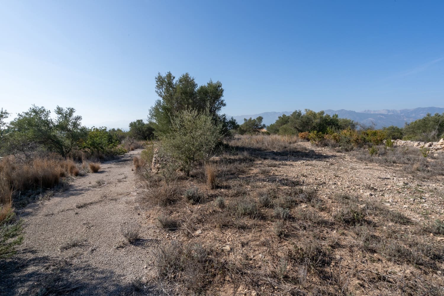 Finca/Landehus til salg i Bitem - € 43.000 (Ref: 8070221)