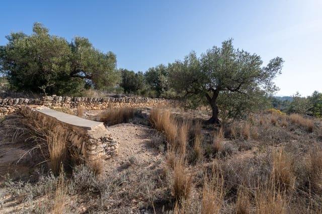 Finca/Maison de Campagne à vendre à Bitem, Tortosa - 43 000 € (Ref: 8070221)