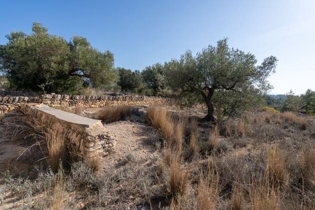 Finca/Landgut zu verkaufen in Bitem, Tortosa - 38.000 € (Ref: 8070221)