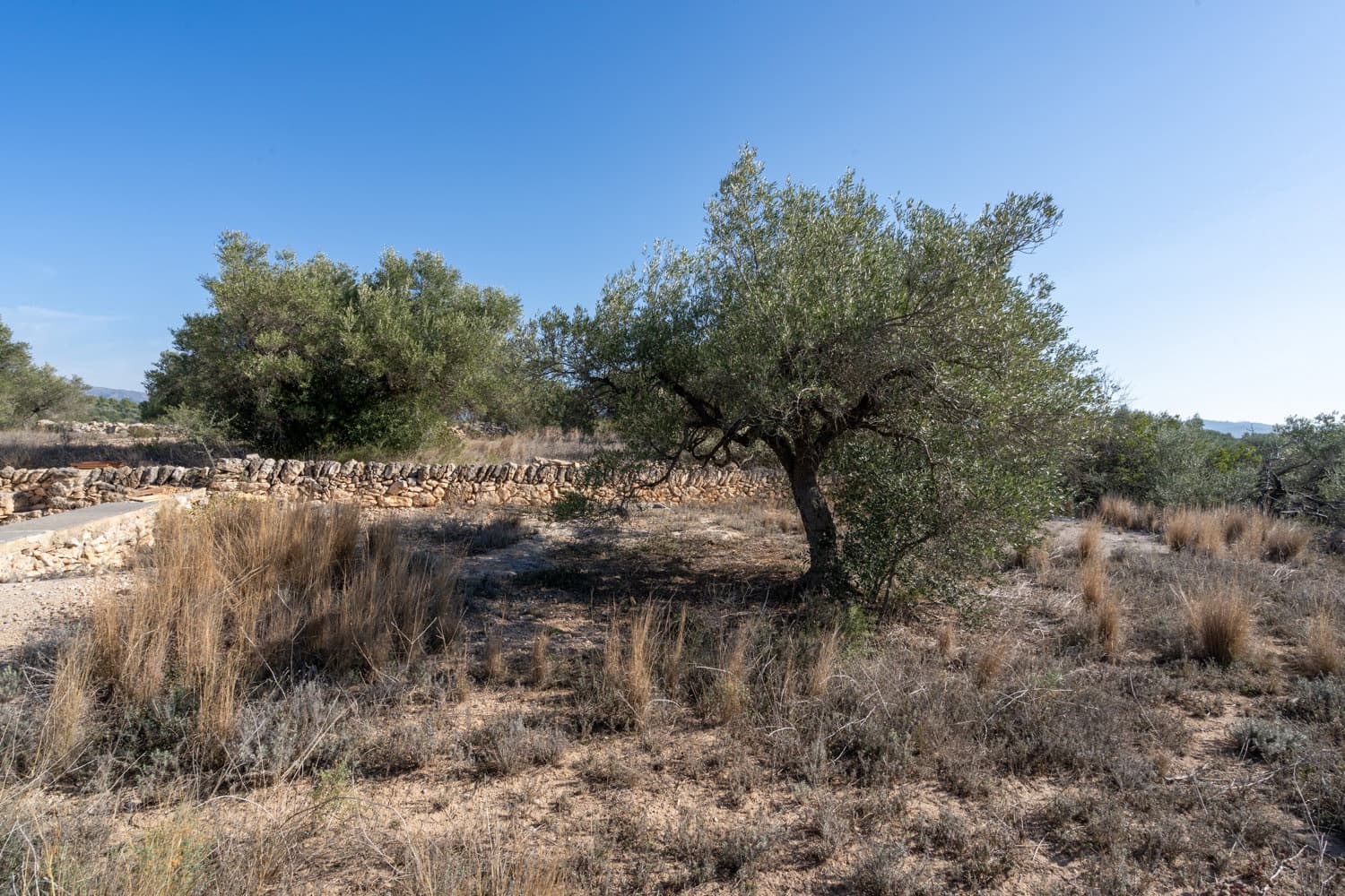 Finca/Maison de Campagne à vendre à Bitem - 38 000 € (Ref: 8070221)