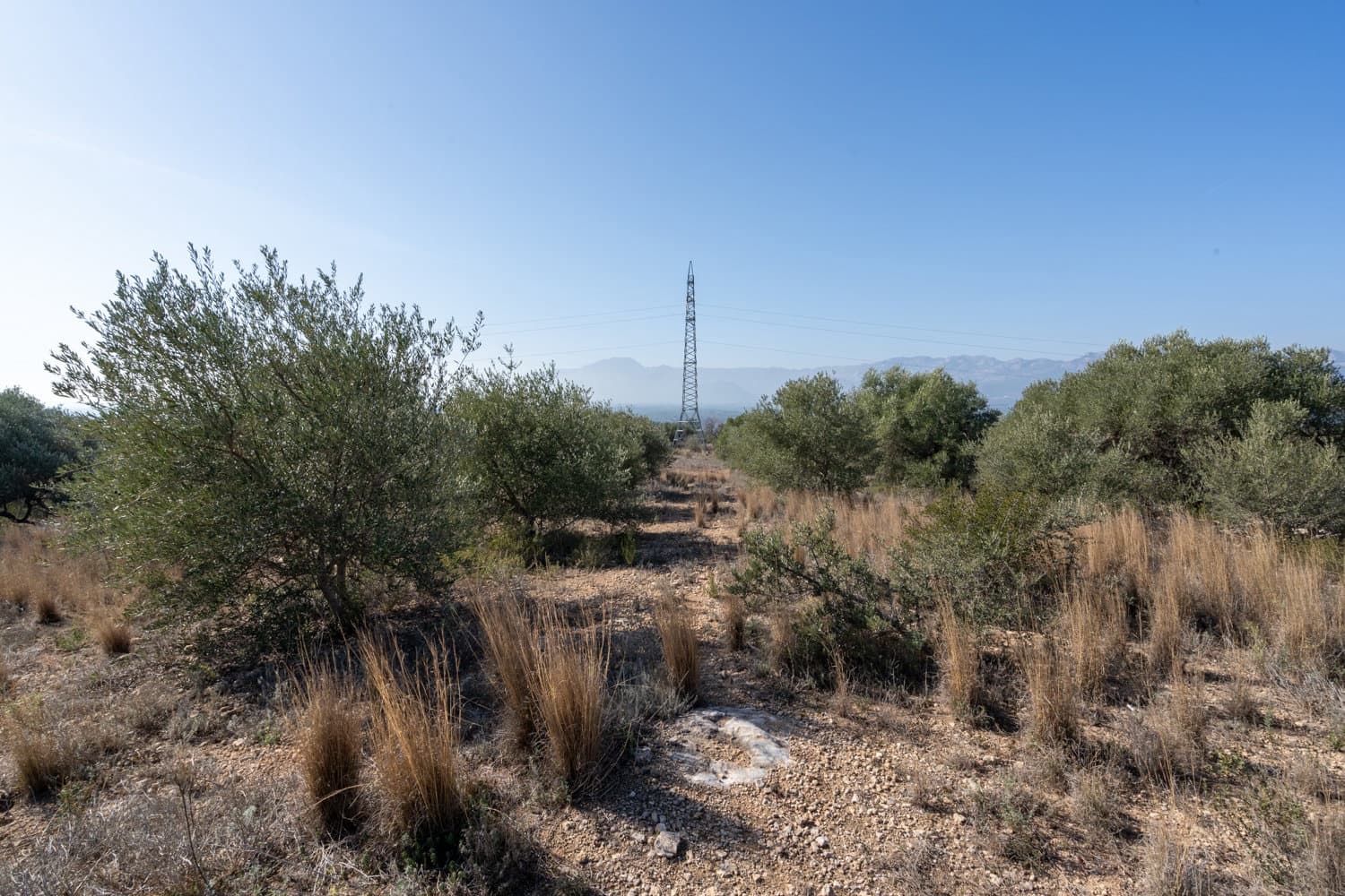 Finca/Maison de Campagne à vendre à Bitem - 38 000 € (Ref: 8070221)