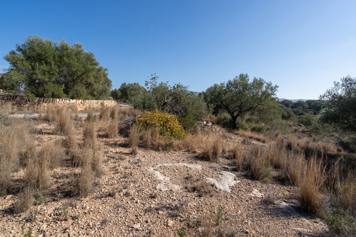 Finca/Maison de Campagne à vendre à Bitem - 38 000 € (Ref: 8070221)