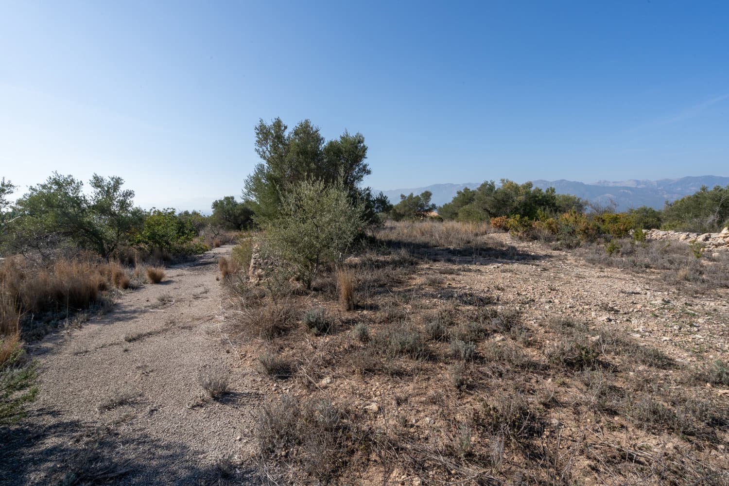 Finca/Maison de Campagne à vendre à Bitem - 38 000 € (Ref: 8070221)