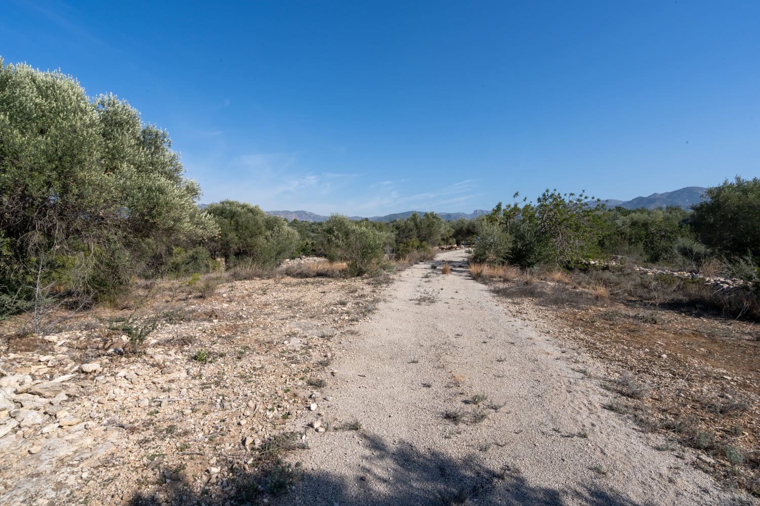 Finca/Maison de Campagne à vendre à Bitem - 38 000 € (Ref: 8070221)