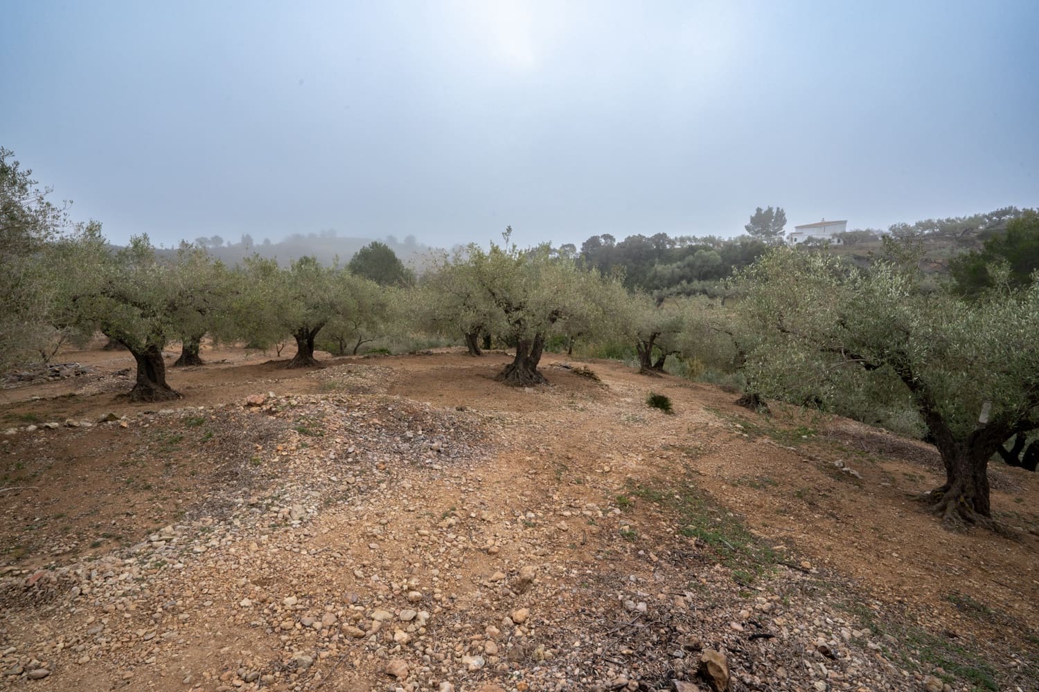 1 slaapkamer Finca/Landhuis te koop in Tortosa - € 125.000 (Ref: 8101013)
