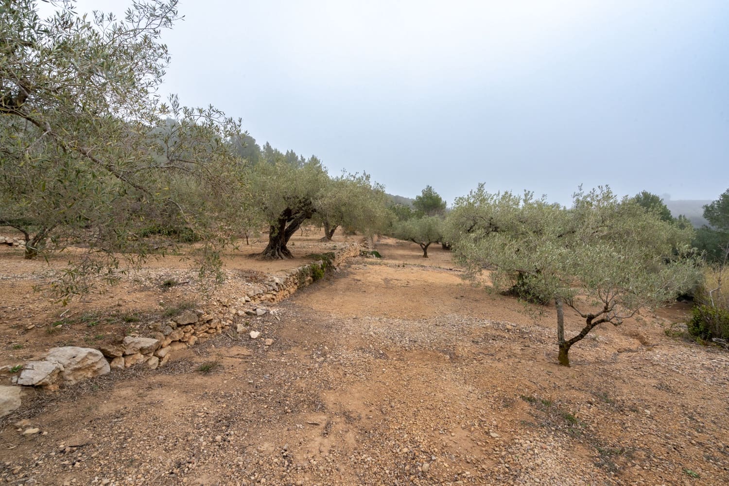 1 slaapkamer Finca/Landhuis te koop in Tortosa - € 125.000 (Ref: 8101013)