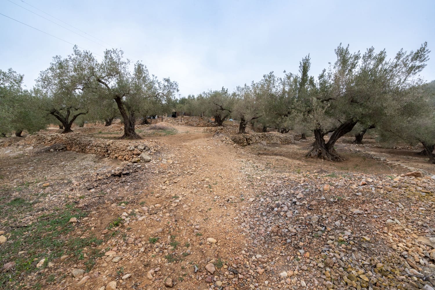 1 slaapkamer Finca/Landhuis te koop in Tortosa - € 125.000 (Ref: 8101013)