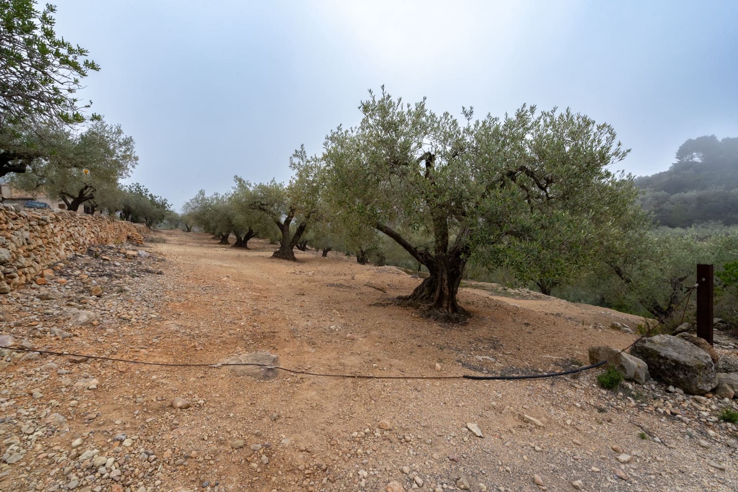 1 slaapkamer Finca/Landhuis te koop in Tortosa - € 125.000 (Ref: 8101013)