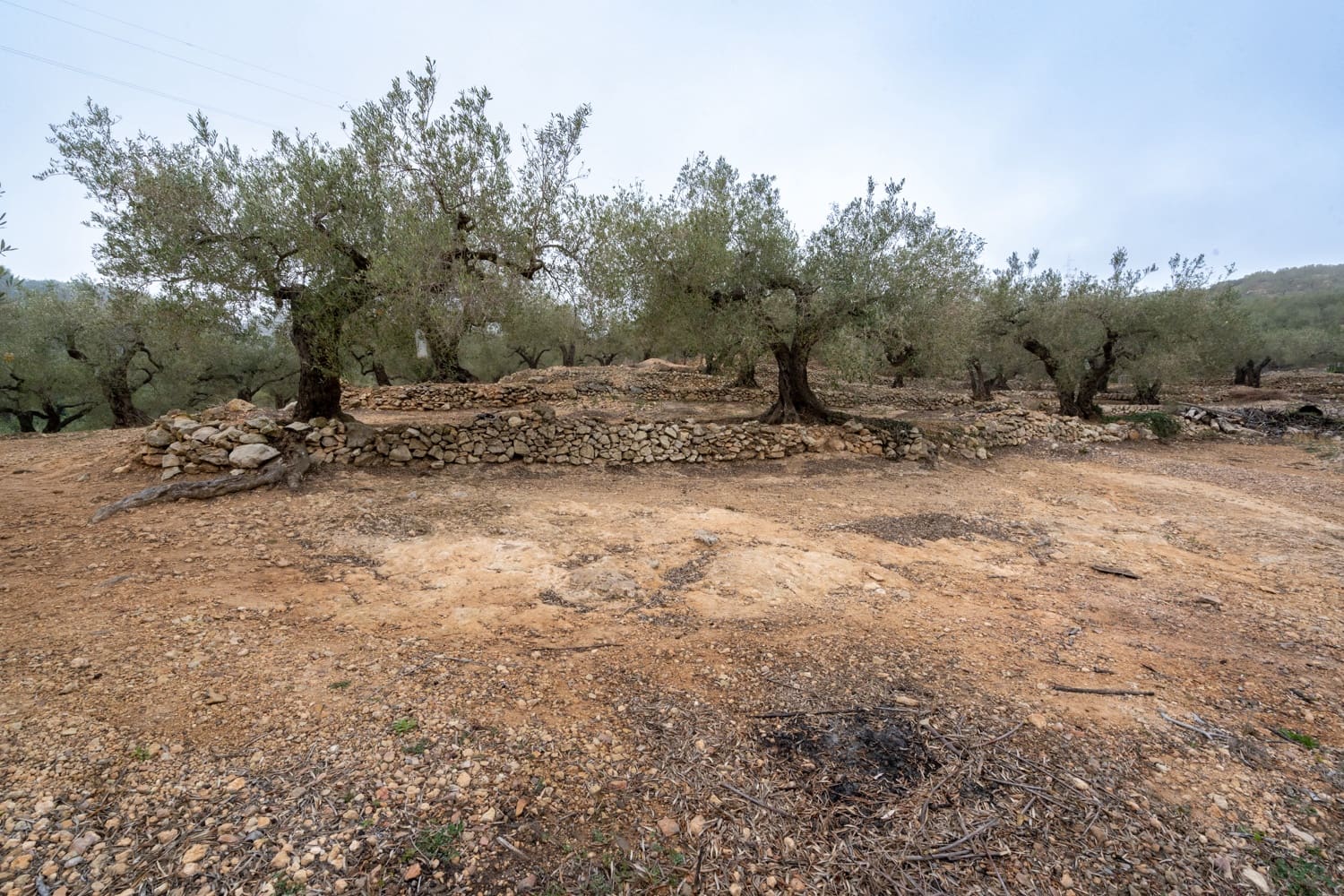 1 slaapkamer Finca/Landhuis te koop in Tortosa - € 125.000 (Ref: 8101013)