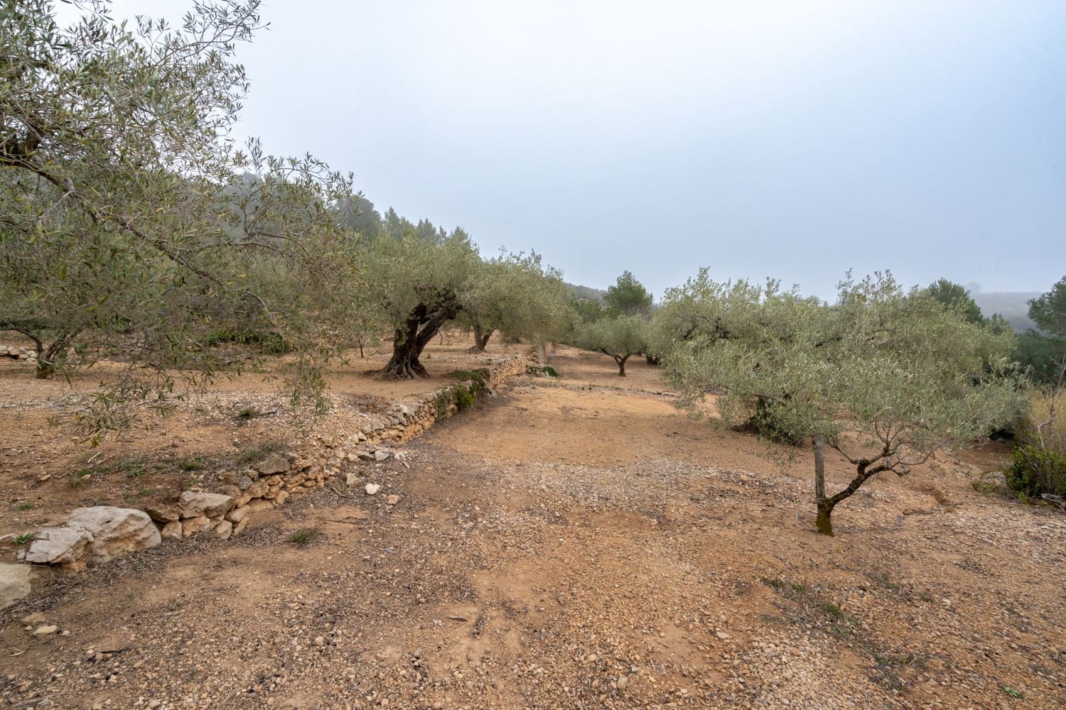 1 chambre Finca/Maison de Campagne à vendre à Tortosa - 125 000 € (Ref: 8101013)