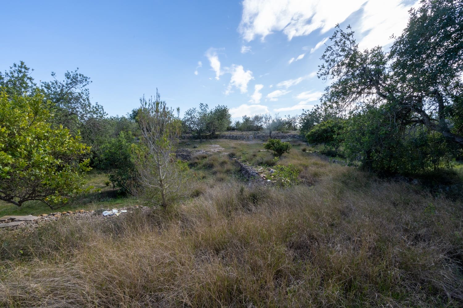 Quinta/Casa Rural para venda em Roquetes - 42 500 € (Ref: 8134293)