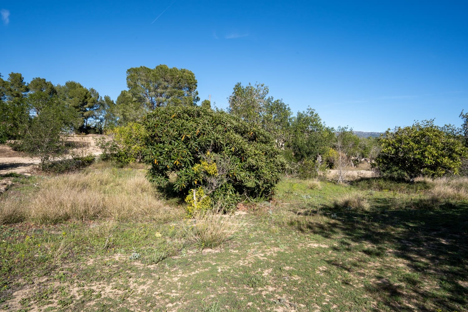 Quinta/Casa Rural para venda em Roquetes - 42 500 € (Ref: 8134293)