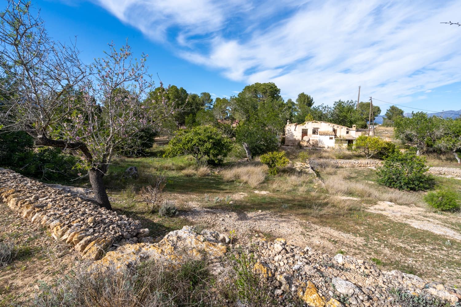 Quinta/Casa Rural para venda em Roquetes - 42 500 € (Ref: 8134293)