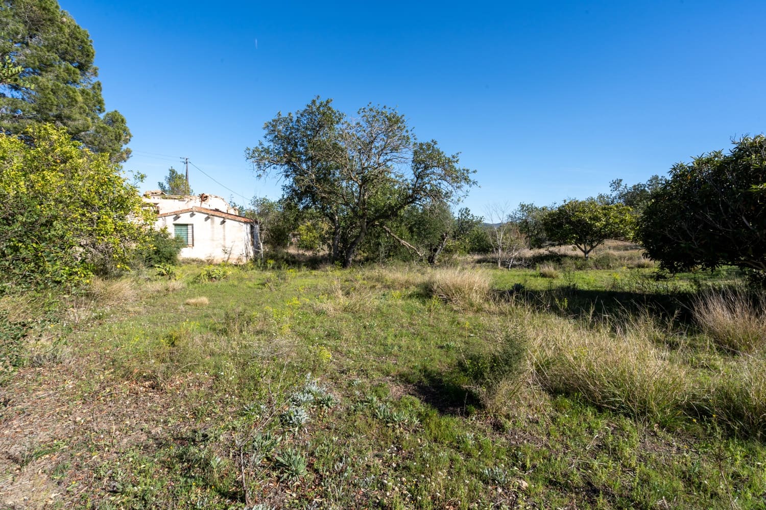 Quinta/Casa Rural para venda em Roquetes - 42 500 € (Ref: 8134293)