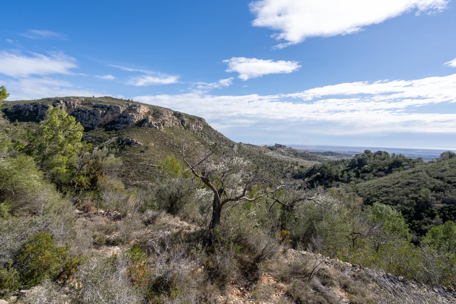 Finca/Landgut zu verkaufen in Tortosa - 23.000 € (Ref: 8135934)