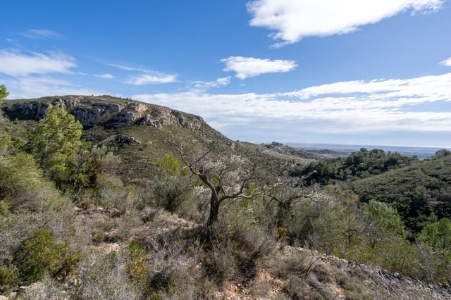 Finca/Casa Rural en Tortosa en venta - 23.000 € (Ref: 8135934)