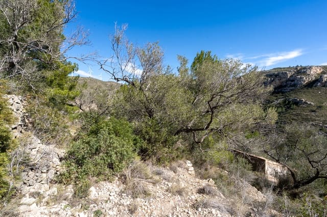 Finca/Casa Rural en Tortosa en venta - 23.000 € (Ref: 8135934)
