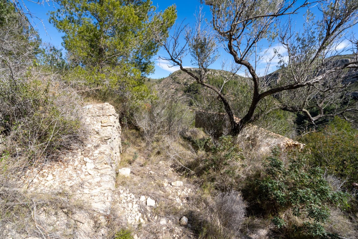 Finca/Landgut zu verkaufen in Tortosa - 23.000 € (Ref: 8135934)