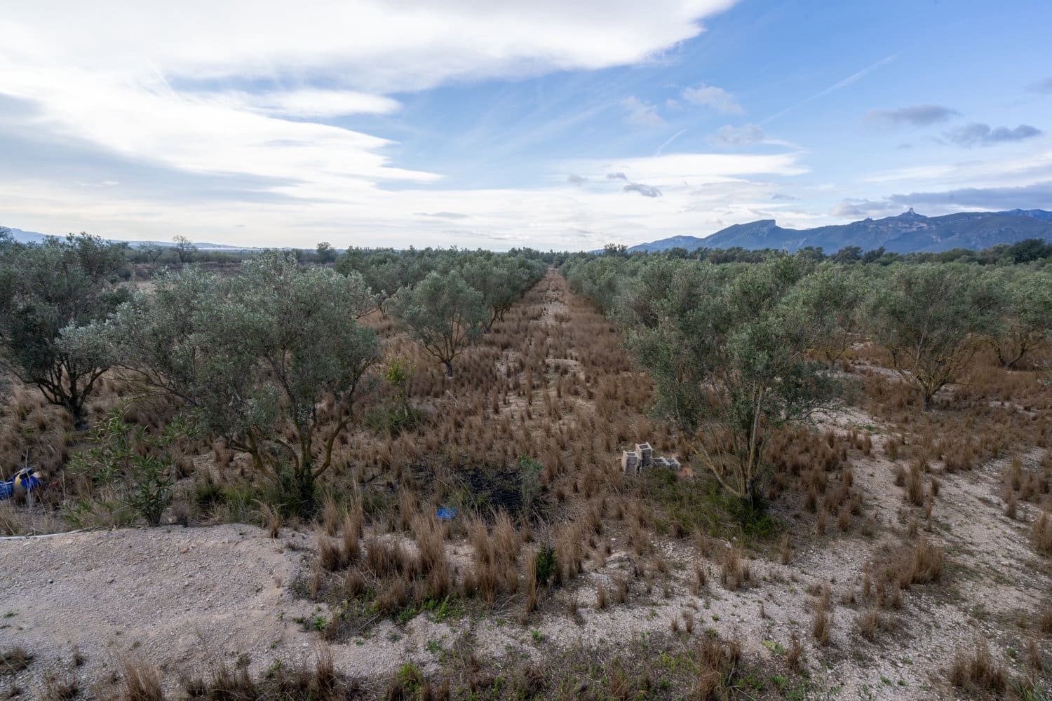 Finca/Casa di Campagna in vendita in Roquetes - 41.000 € (Rif: 8135952)