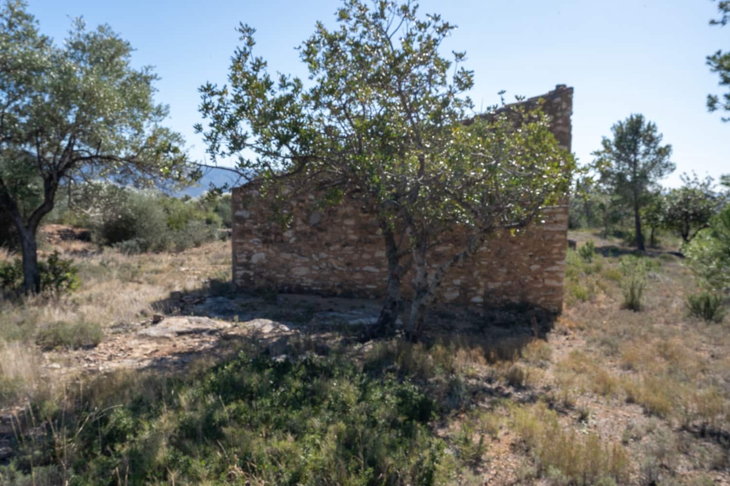 Finca/Landehus til salg i Xerta - € 70.000 (Ref: 8142994)