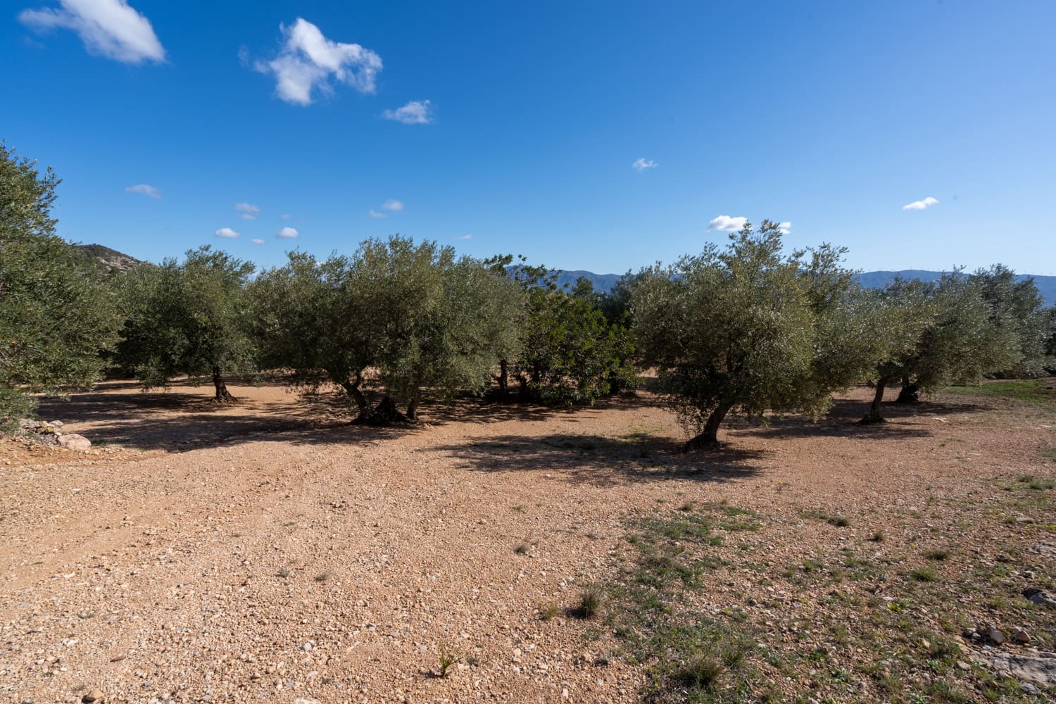 Finca/Landehus til salg i Xerta - € 70.000 (Ref: 8142994)
