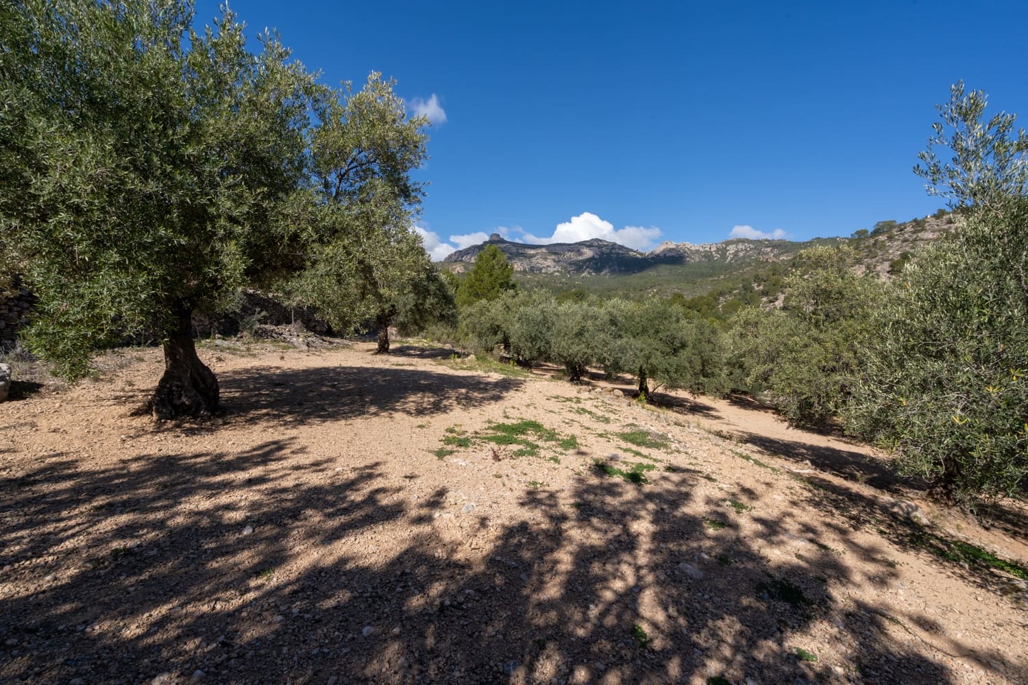 Finca/Landehus til salg i Xerta - € 70.000 (Ref: 8142994)