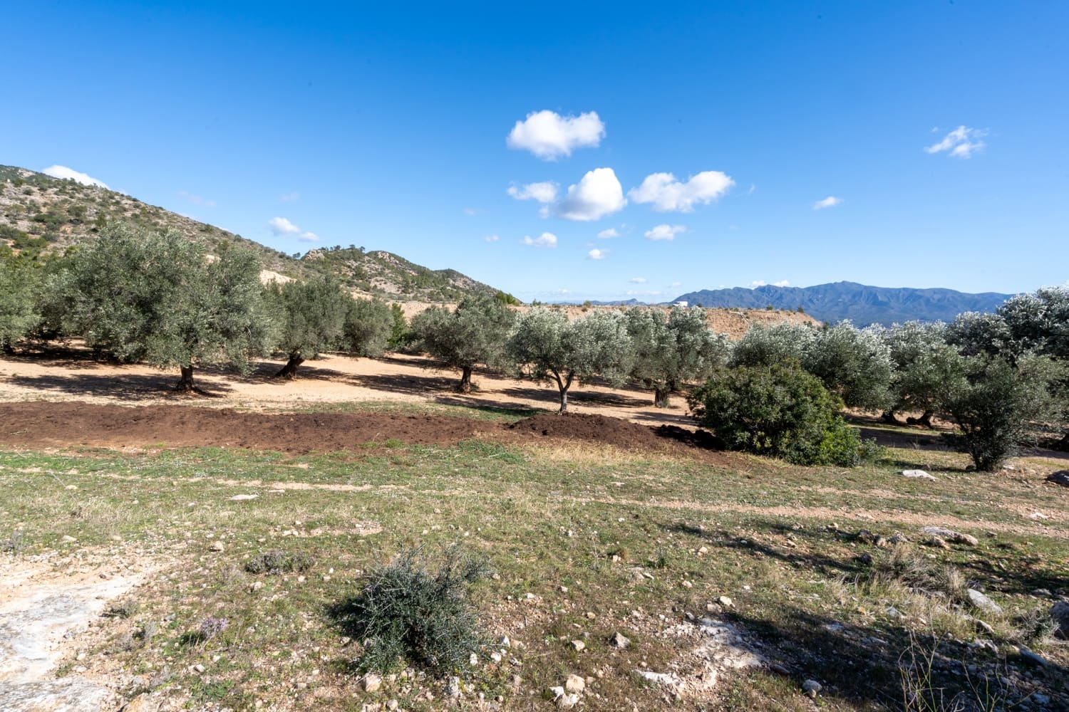 Finca/Landehus til salg i Xerta - € 70.000 (Ref: 8142994)