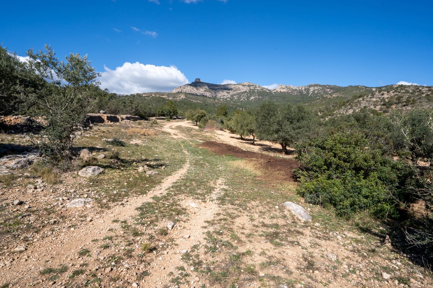 Finca/Landehus til salg i Xerta - € 70.000 (Ref: 8142994)