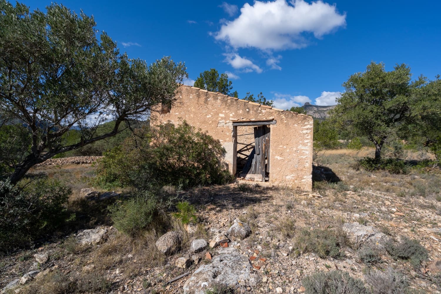 Finca/Landehus til salg i Xerta - € 70.000 (Ref: 8142994)