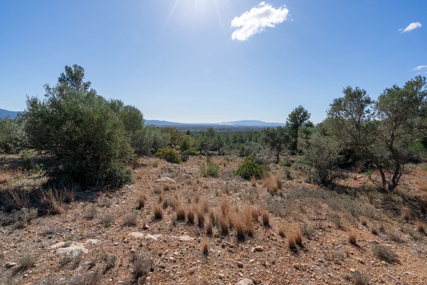 Finca/Landehus til salg i Xerta - € 70.000 (Ref: 8142994)