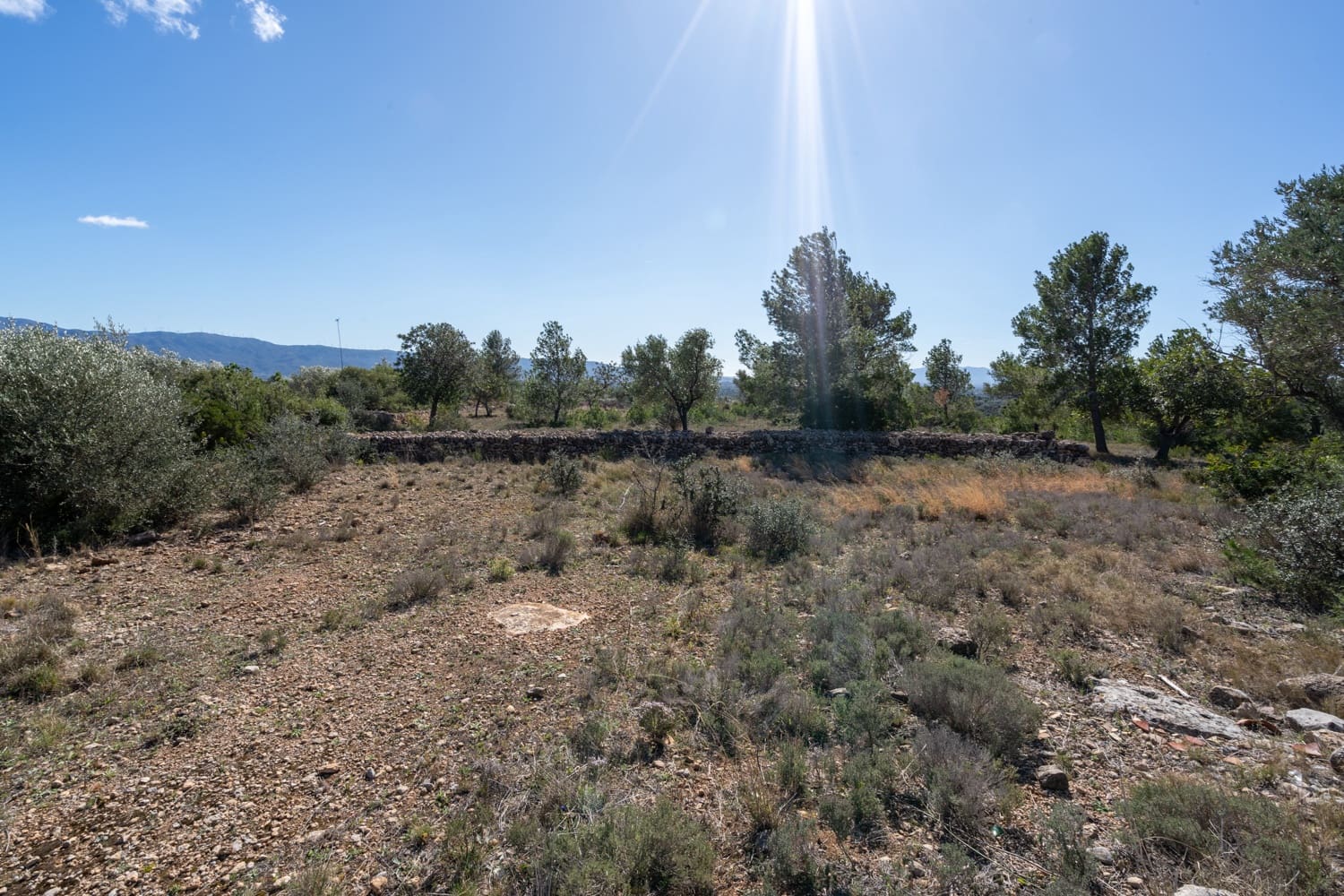 Finca/Landehus til salg i Xerta - € 70.000 (Ref: 8142994)